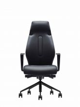 Modern High Back Office Chair (DU-2403H)