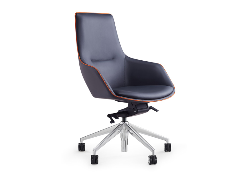 Best Office Chair For Lower Back (DU-1903M-129)