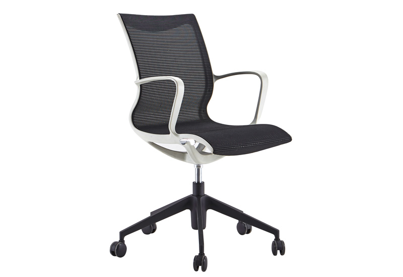 Office Chair For Lower Back Pain (B311-2)
