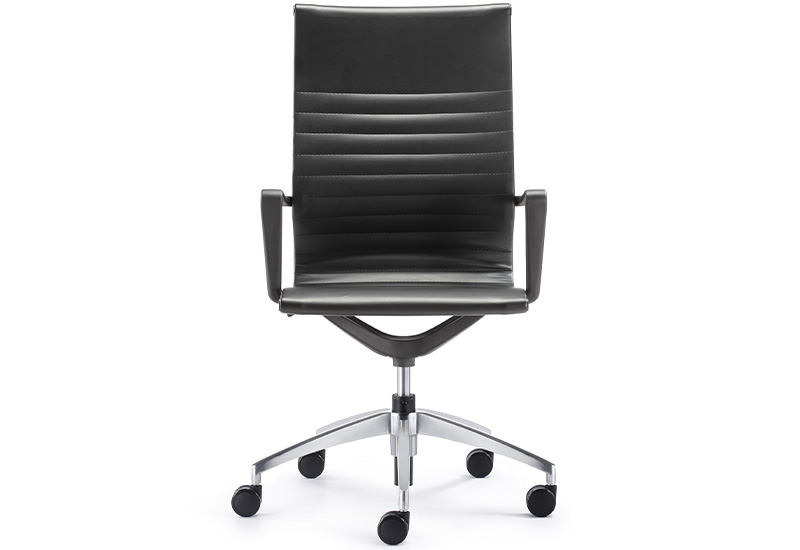 Back Support Office Chair (1904H)