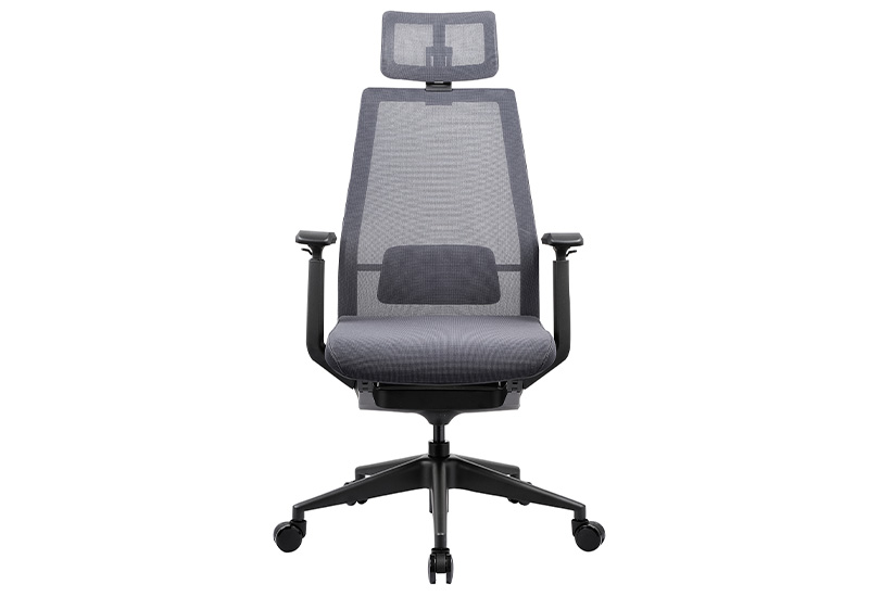Best Back Support Office Chair (DU-049H)