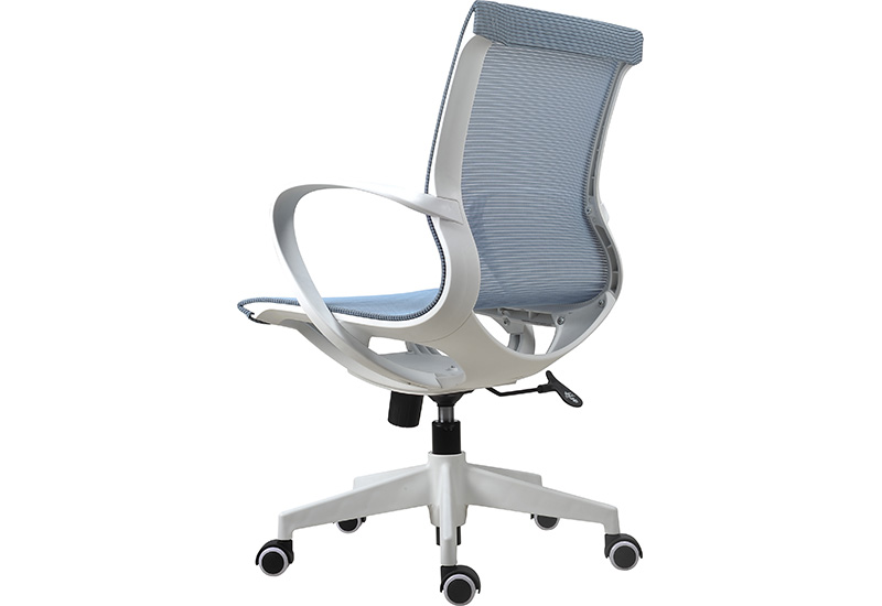 Best Affordable Office Chair (DU-1905M)