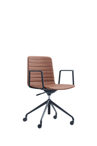 Leisure Middle Back Chair (DU-580D-4-5)