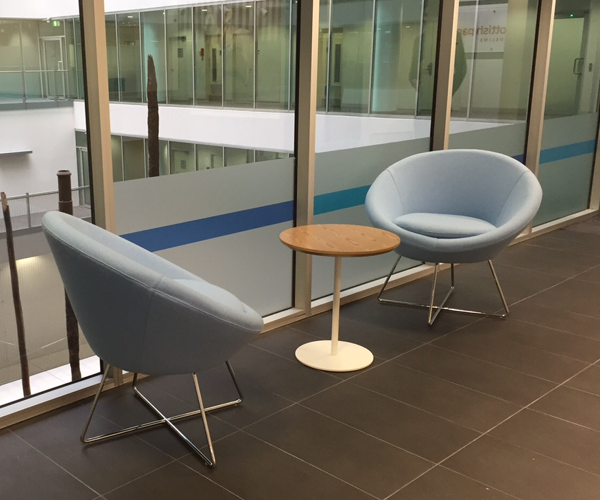Embrace Comfort and Quality - Deyou Leisure Chairs Preferred by Australian Universities and Schools
